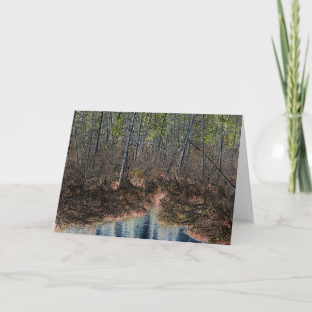 Cartão "O Outro Lado" Digitalmente Editado Floresta e Pon (Frente)