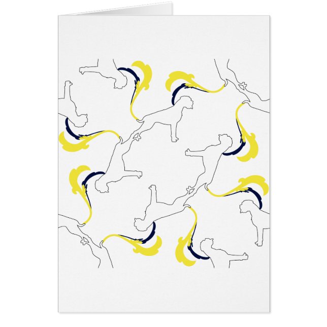 Cartão O padrão Boxer (Frente)