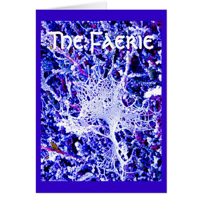 Cartão O país das fadas - Web de aranha (Frente)