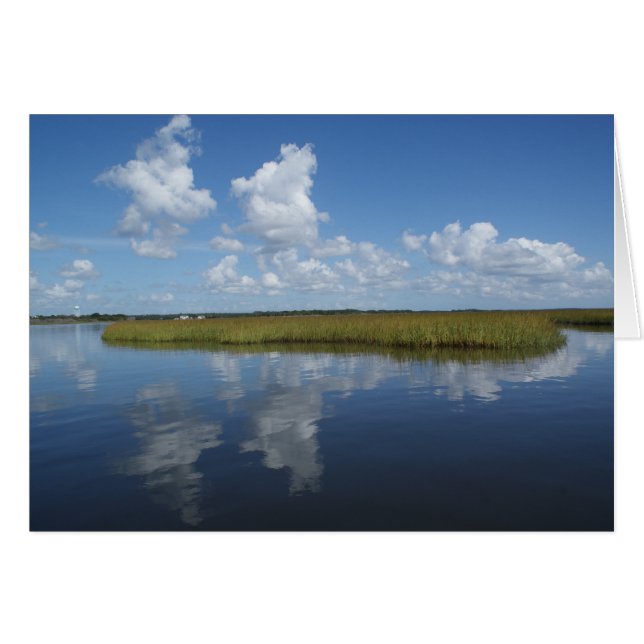 Cartão O pântano Mellow II (Frente Horizontal)