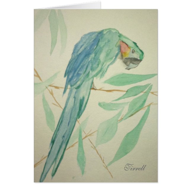 Cartão O papagaio (Frente)