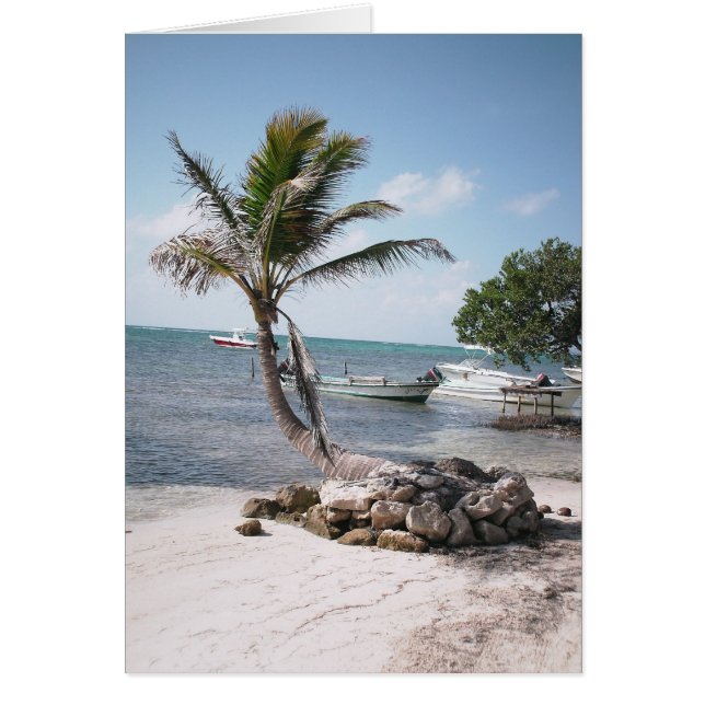 Cartão O paraíso do pescador (Frente)