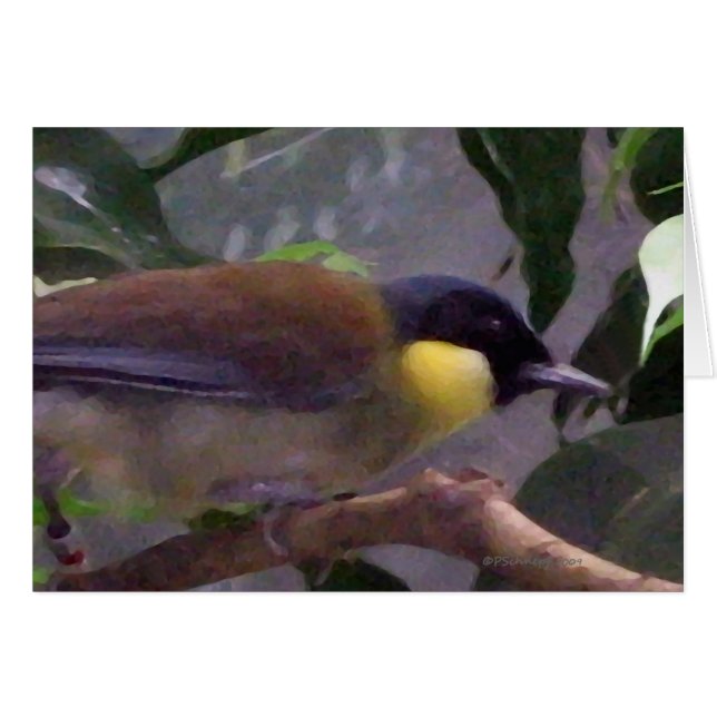 Cartão O pássaro (Frente Horizontal)