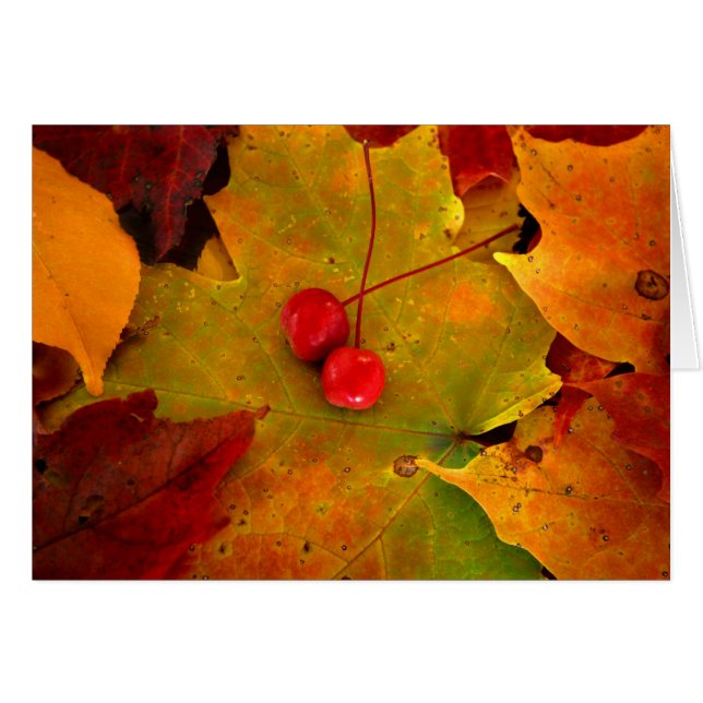 Cartão O patamar II do esmeril (Frente Horizontal)