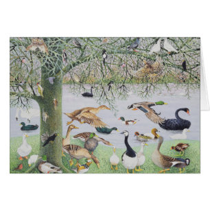 Cartão O pato impar