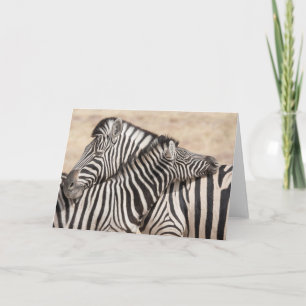 Cartão O Pescoço de Zebras de Burchell
