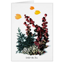 Cartão O Phantasies de Phaedra - sob o mar