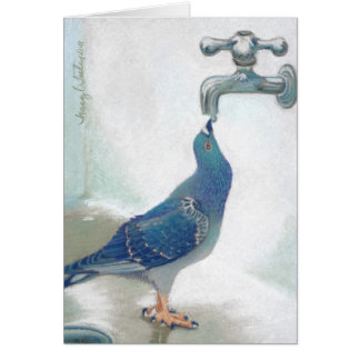 Cartão O Pidgeon de Frank