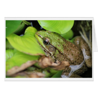 Cartão O Pince-Nevoeiro - Pino