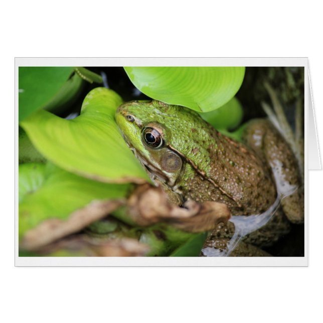 Cartão O Pince-Nevoeiro - Pino (Frente Horizontal)