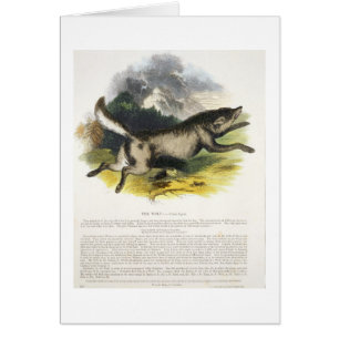 Cartão O plutônio educacional da ilustração do lobo