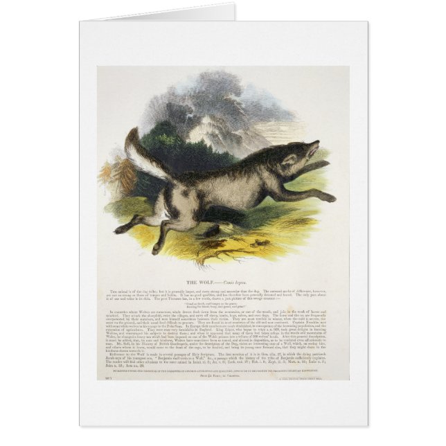 Cartão O plutônio educacional da ilustração do lobo (Frente)