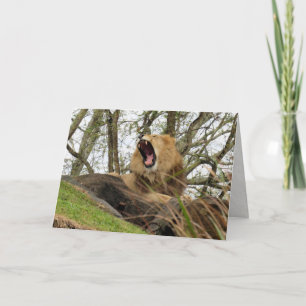 Cartão O poderoso leão