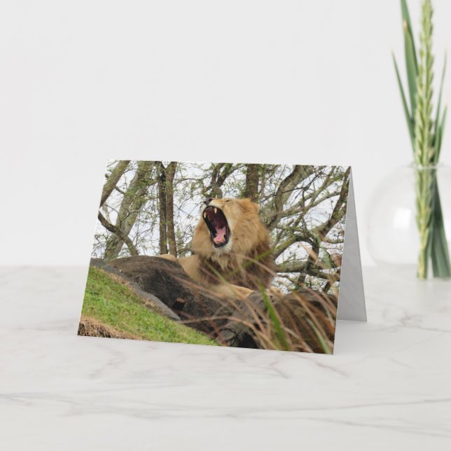 Cartão O poderoso leão (Frente)