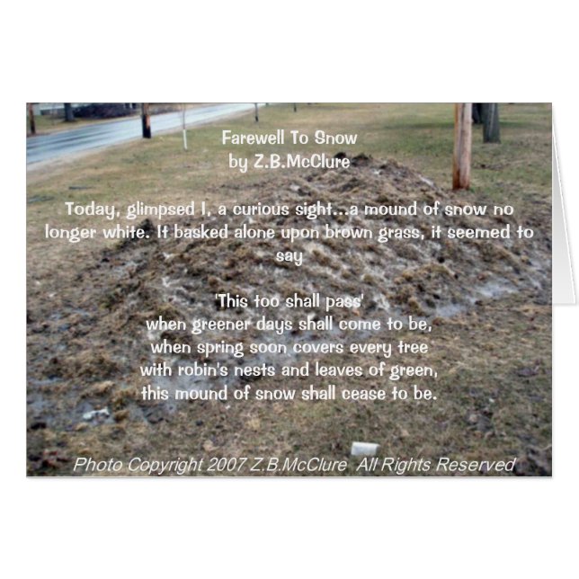 Cartão o poema do snowbird (Frente Horizontal)