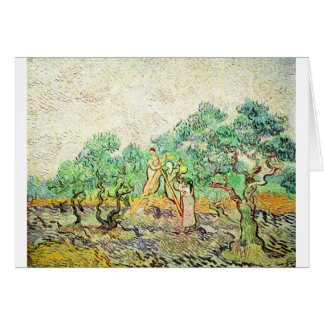 Cartão O pomar verde-oliva - Vincent van Gogh (1889)