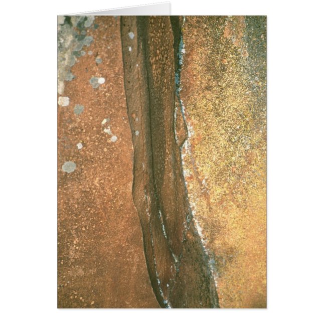 Cartão O ponto #1 do artista (Frente)