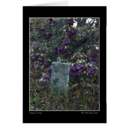 Cartão O Posto Hitching