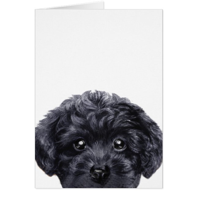 Cartão O preto da caniche de brinquedo, original deign (Frente)