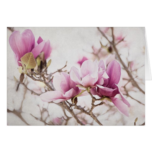 Cartão O primavera está no ar (Frente Horizontal)