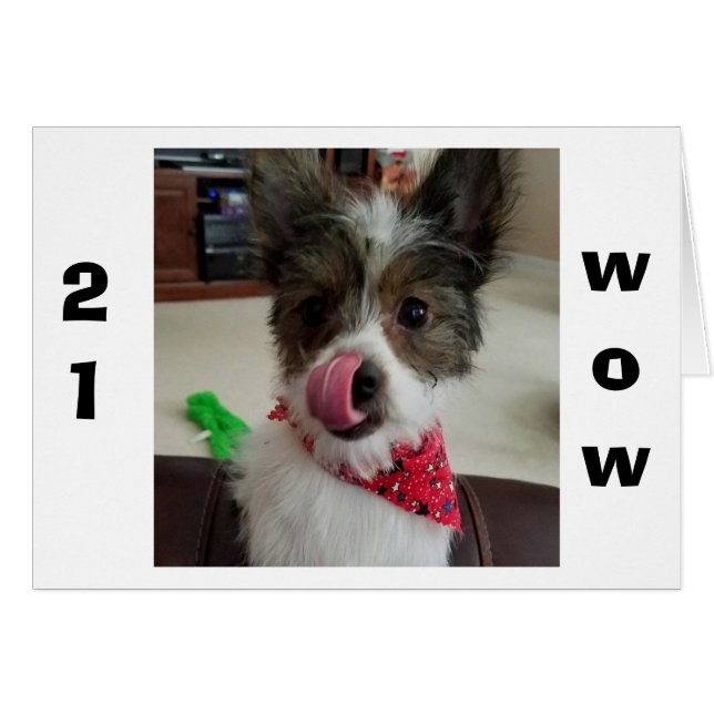 CARTÃO O PUP É TÃO FELIZ POR VOCÊ FAZER "21" (Frente Horizontal)