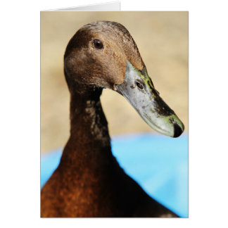 CARTÃO O QUE É ACIMA DO PATO