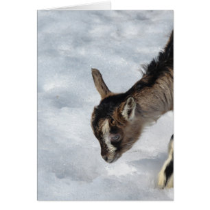 Cartão O que é isso?