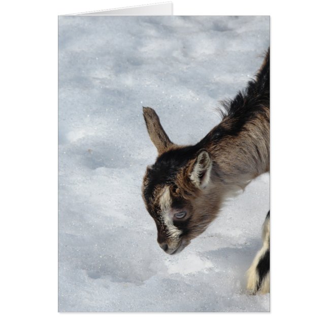 Cartão O que é isso? (Frente)