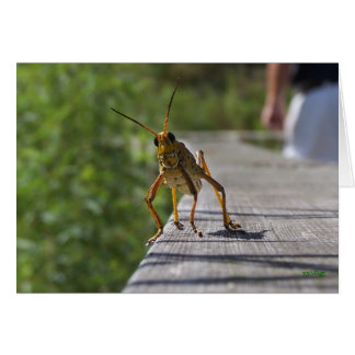 Cartão O que é o Hoppin? (com texto)