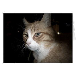 Cartão O que ele está pensando?