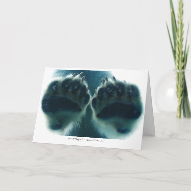 Cartão O que eles viram abaixo do gelo (Frente)