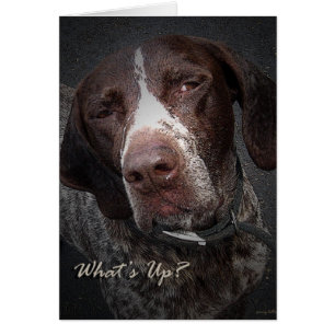 Cartão O que está acima