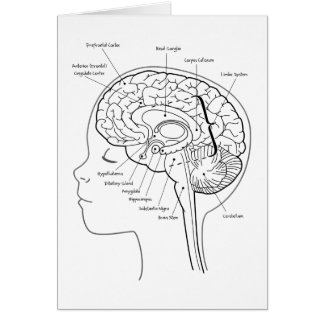 Cartão O que está em seu cérebro