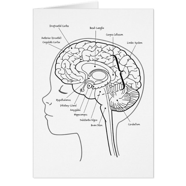 Cartão O que está em seu cérebro (Frente)