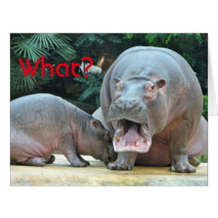 Cartão O que Hippo