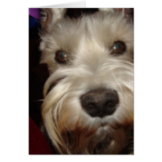 Cartão O que você está olhando?