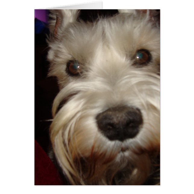 Cartão O que você está olhando? (Frente)