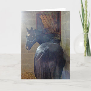 Cartão O que você quer?