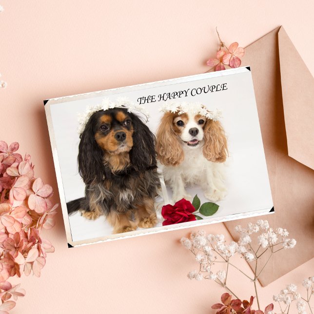 Cartão O Recém-Casado Cavalier King Charles Spaniel (Criador carregado)