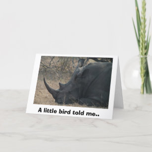 Cartão O rinoceronte branco obtem o conselho de um