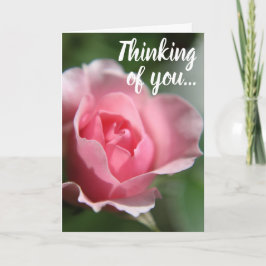 Cartão O rosa simples do rosa que pensa de você carda