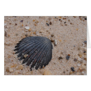Cartão O Scallop Shell carda