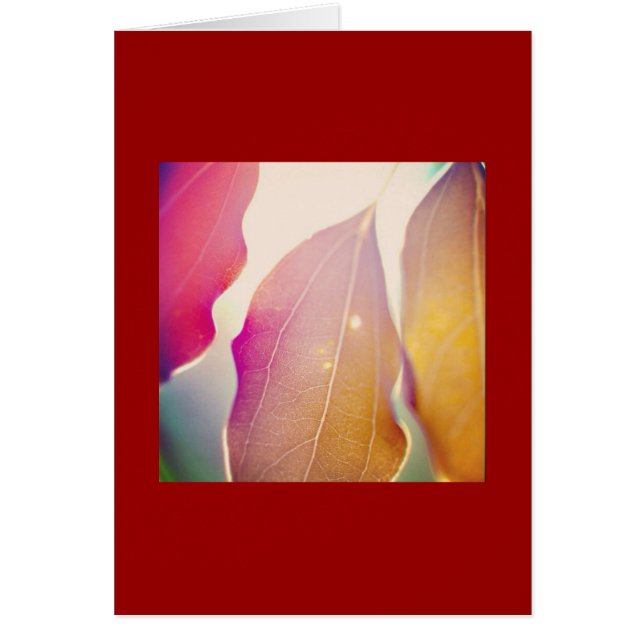 Cartão O Sol Brilha Através Das Folhas (Frente)