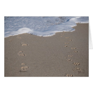 Cartão O tempo não pode ser salvo. Gaste sabiamente