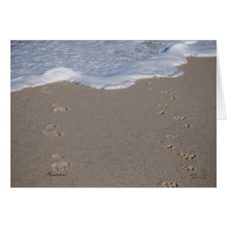 Cartão O tempo não pode ser salvo. Gaste sabiamente