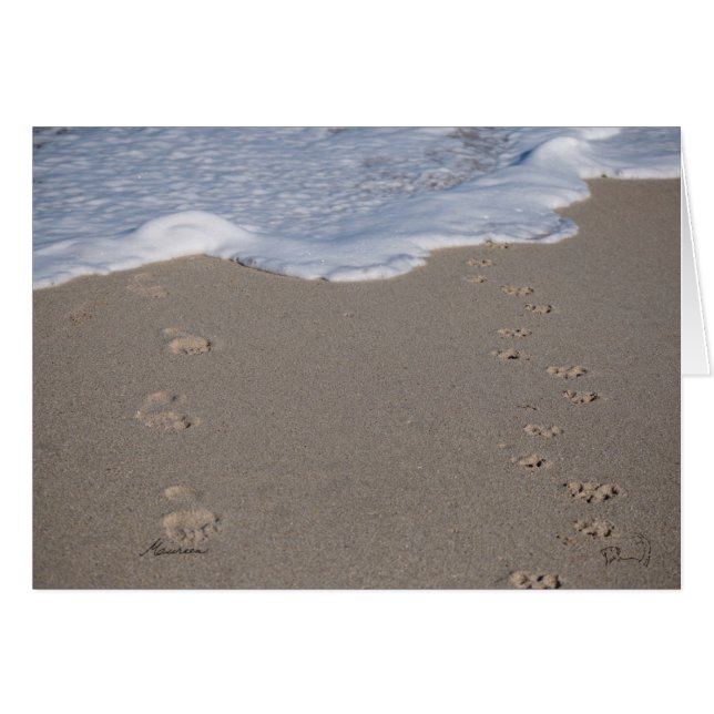 Cartão O tempo não pode ser salvo. Gaste sabiamente (Frente Horizontal)