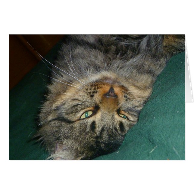 Cartão O Tig (Frente Horizontal)