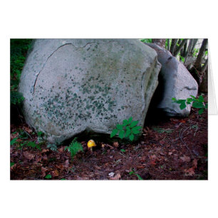 Cartão O Toadstool imita Boulder