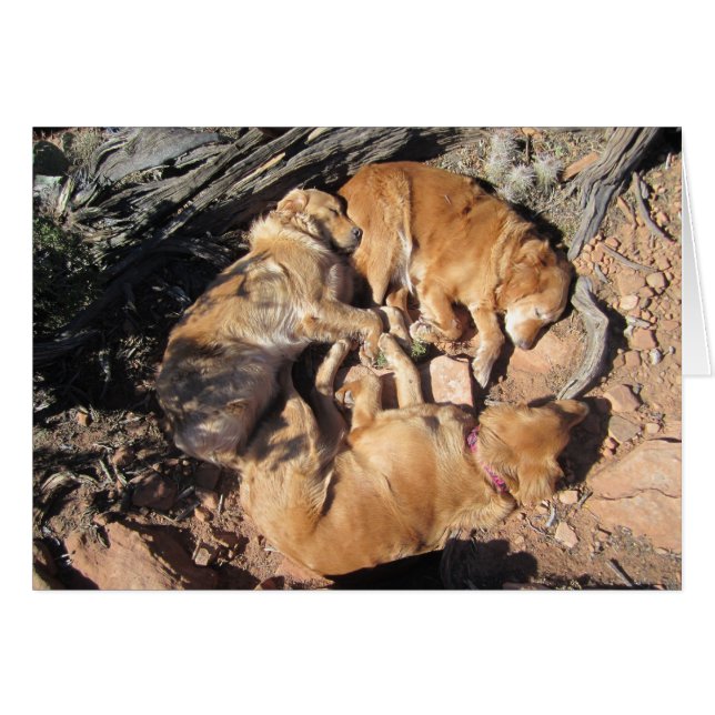 Cartão O triângulo dourado (Frente Horizontal)