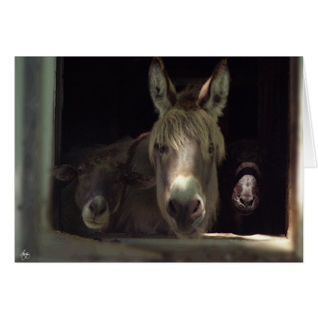 Cartão O Trio Curioso (Frente Horizontal)